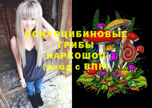 дживик Михайловск