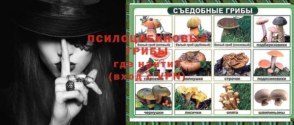 тгк Навашино