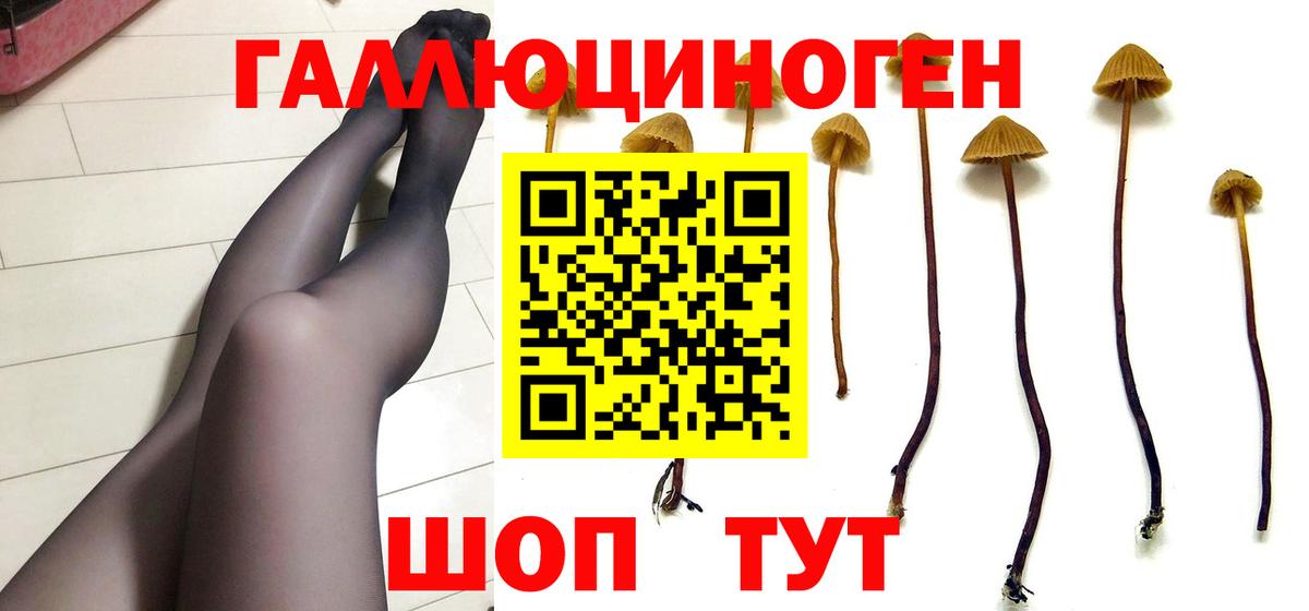 Киреевск  Псилоцибиновые грибы мухоморы  Вход с VPN  Галлюциногенные грибы мицелий 